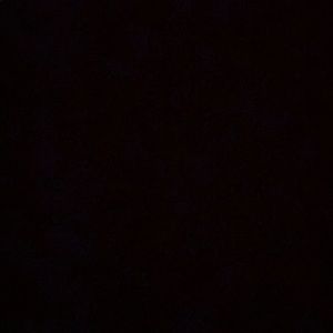 Meet your Posher, Nene